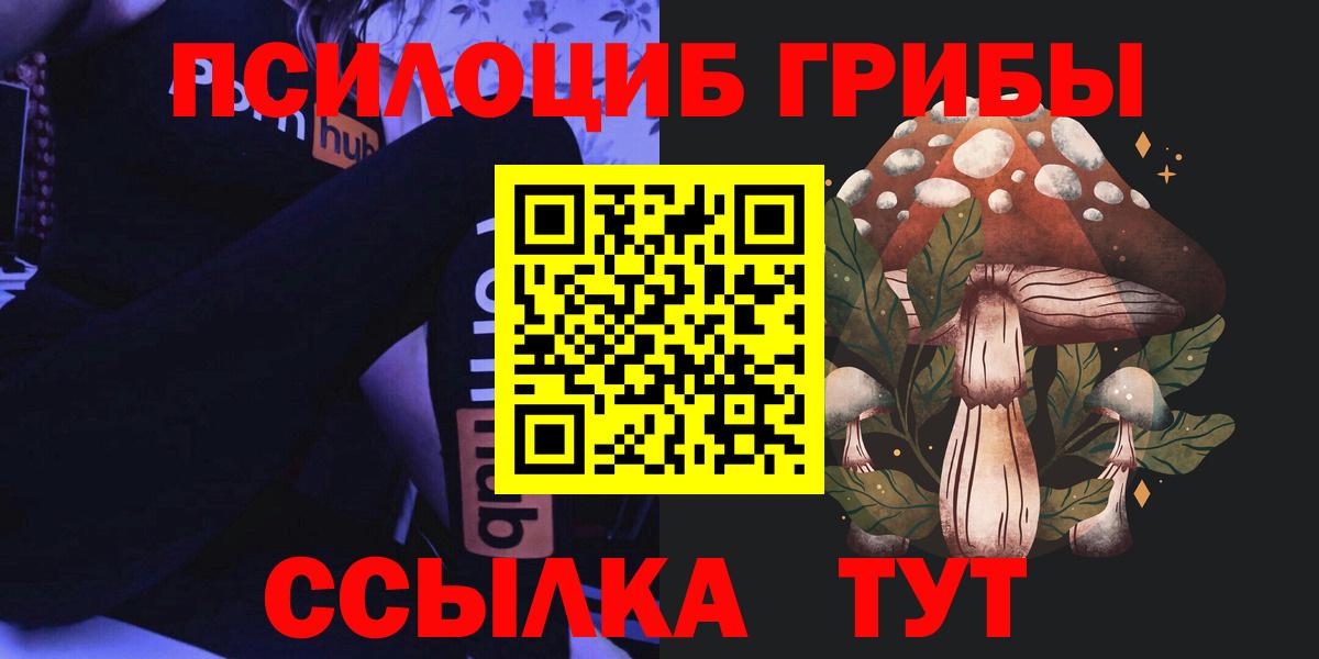 Галлюциногенные грибы Psilocybe  цены наркотик  Артём  Вход с VPN 